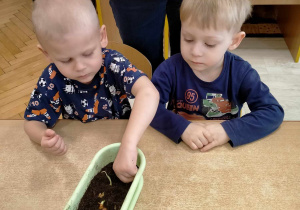 Chłopiec sadzi cebulki w ziemi.